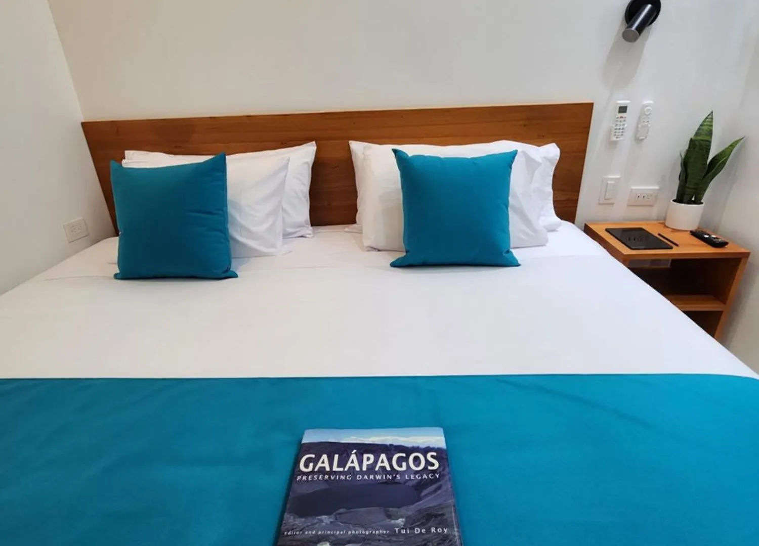 Casa Galapagos By Hostal Fragata Puerto Ayora  Ecuador